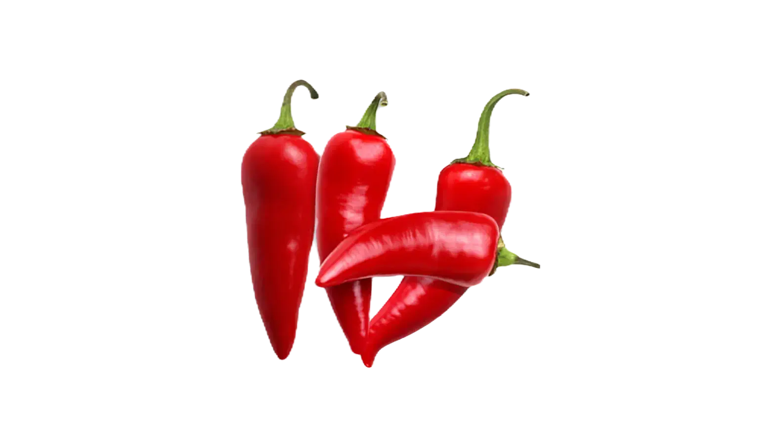 A hand-drawn jalapeno, drawn by Don Stroud for the original Santa Anna's Revenge label